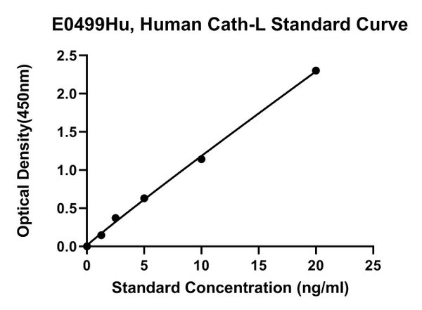 Human Cathepsin L, CATH-L ELISA Kit